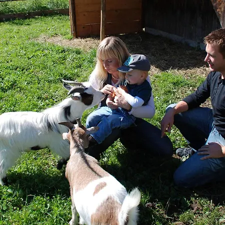 Reisslerhof 3* Grobming