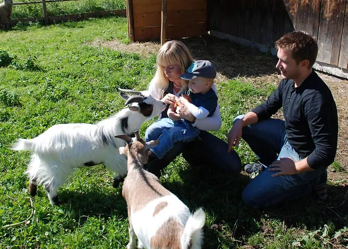 Reisslerhof 3* Gröbming