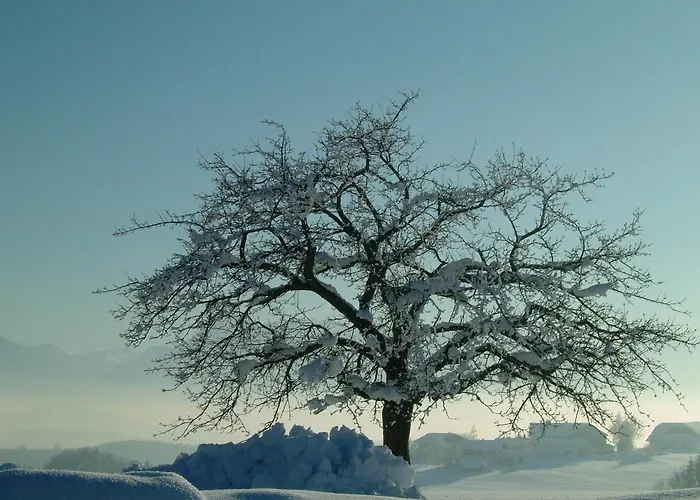 فندق Reisslerhof 3*